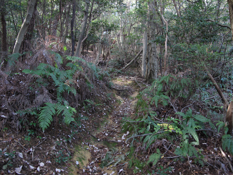 20131116hike (114)